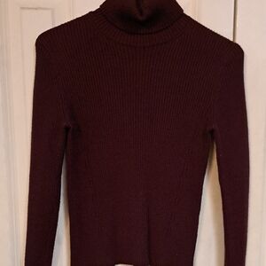Zara Deep Burgundy Turtleneck Sweater